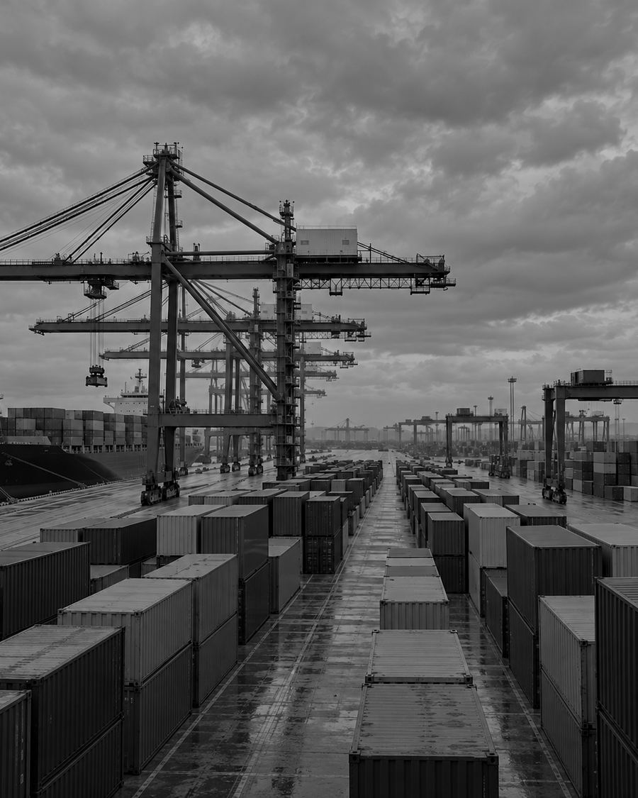 Grúas portuarias y contenedores en una terminal marítima